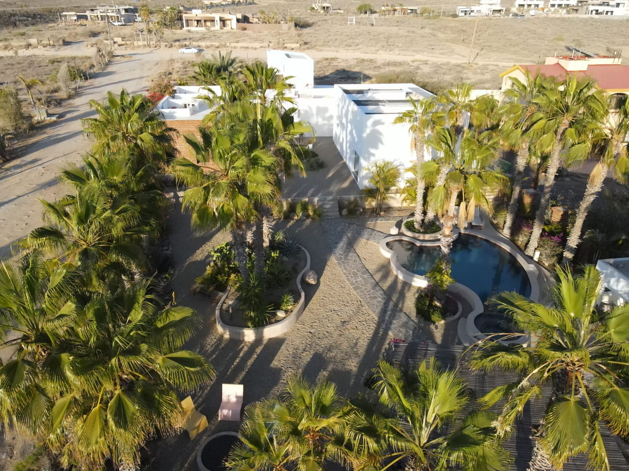 Aerial photograph of the Casa del Arte compound: the adobe house, casita and studio among palm gardens, with the saltwater pool to the right